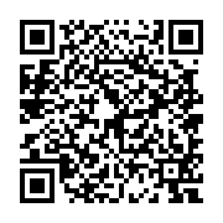 QR code for Z650938