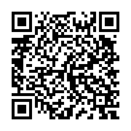 QR code for Z65462