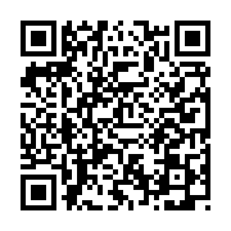 QR code for Z658095