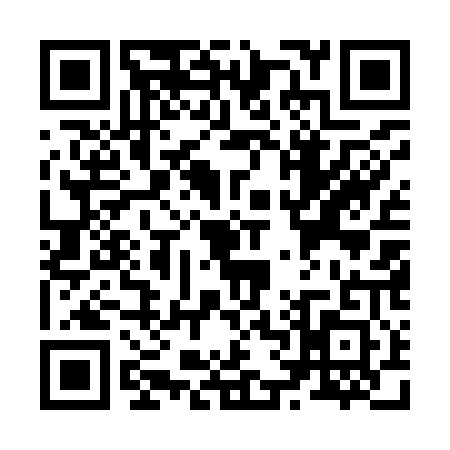 QR code for Z659013