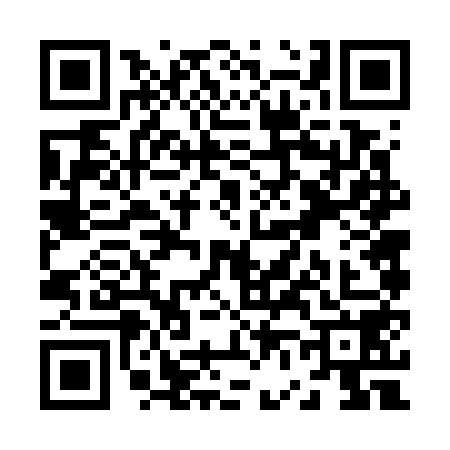 QR code for Z667587