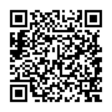 QR code for Z668994