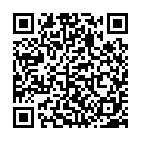 QR code for Z67395