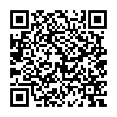 QR code for Z674771
