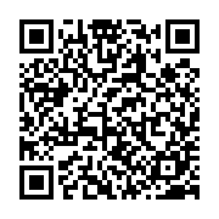 QR code for Z67585