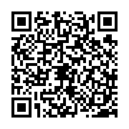 QR code for Z686410