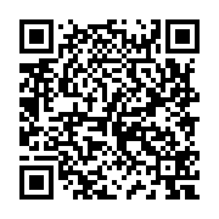 QR code for Z68919