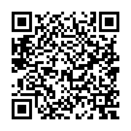 QR code for Z689528