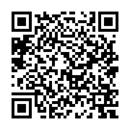 QR code for Z691636