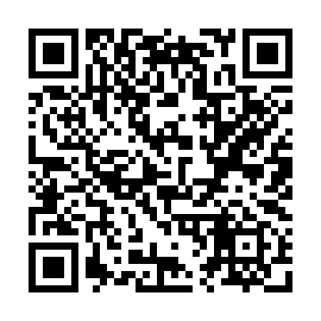 QR code for Z69399