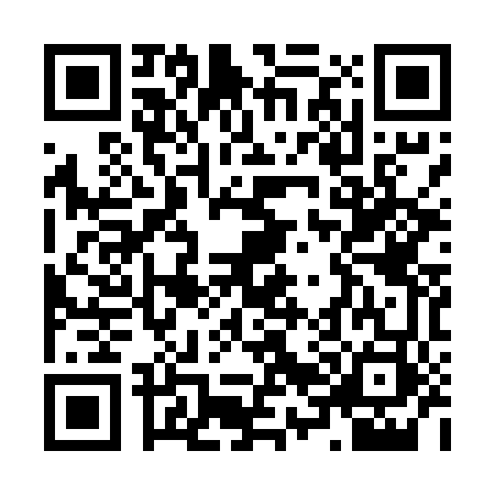 QR code for Z695439