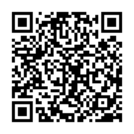 QR code for Z70538