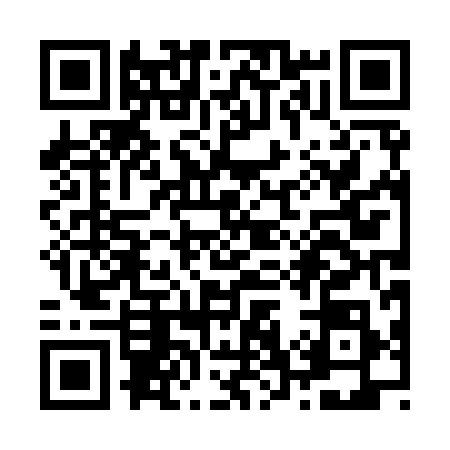 QR code for Z709985