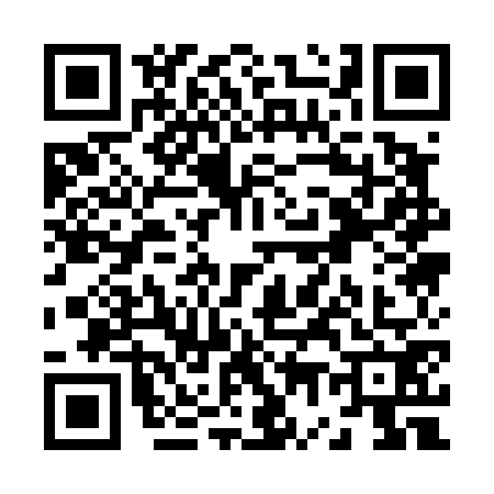 QR code for Z714729
