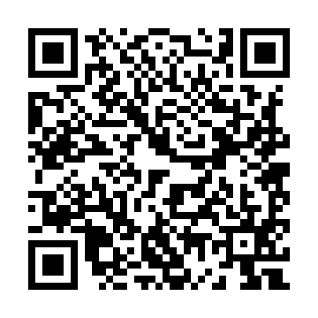 QR code for Z729951