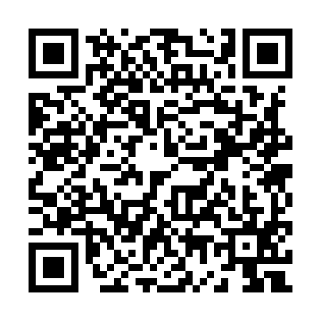 QR code for Z739951