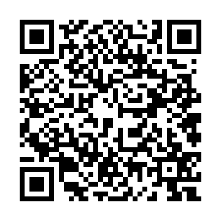 QR code for Z767378