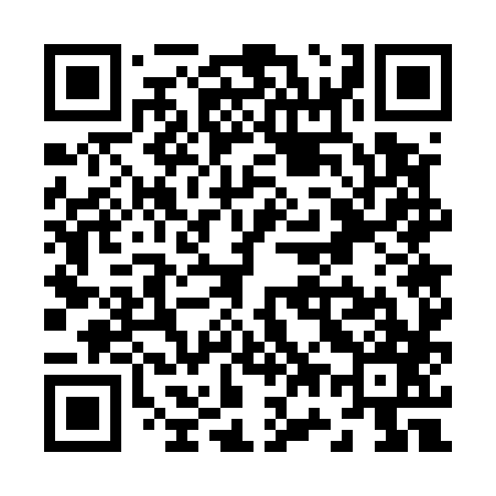 QR code for Z77587