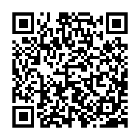 QR code for Z80295