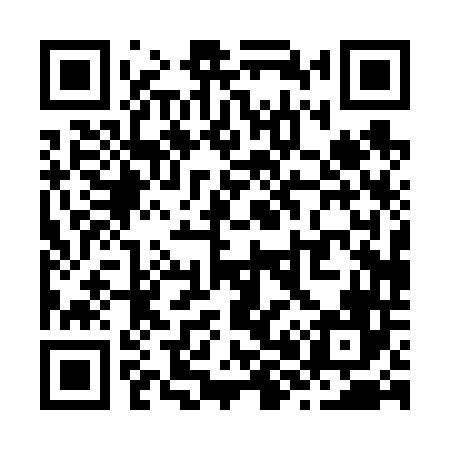 QR code for Z80646