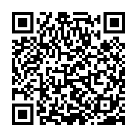 QR code for Z81031
