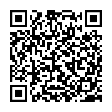QR code for Z81275