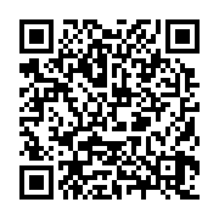 QR code for Z81328