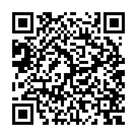 QR code for Z822463