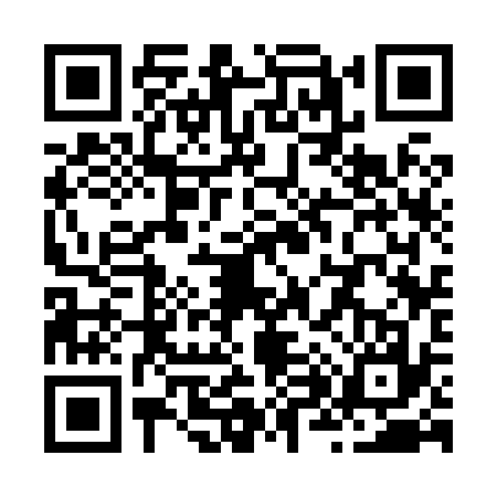 QR code for Z838378