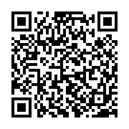 QR code for Z85013