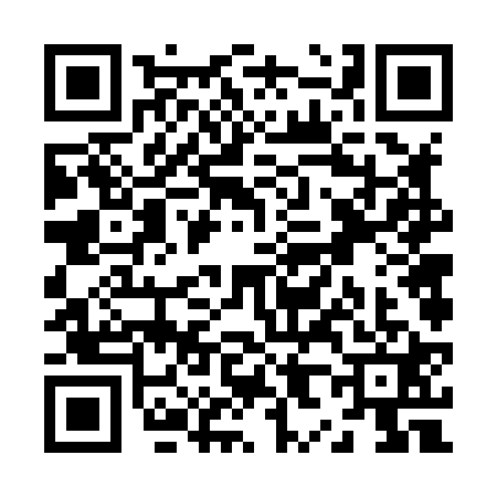 QR code for Z868218