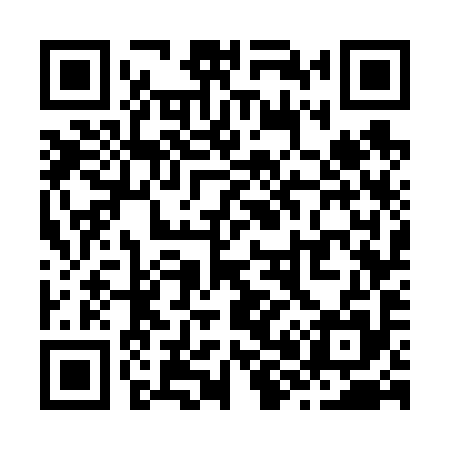 QR code for Z87695
