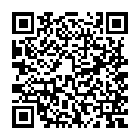 QR code for Z879419
