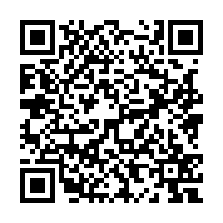 QR code for Z881370