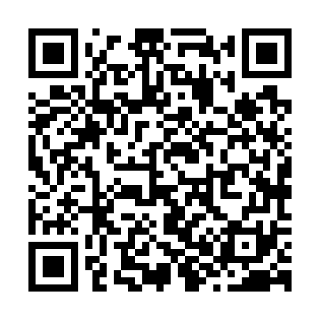 QR code for Z88771