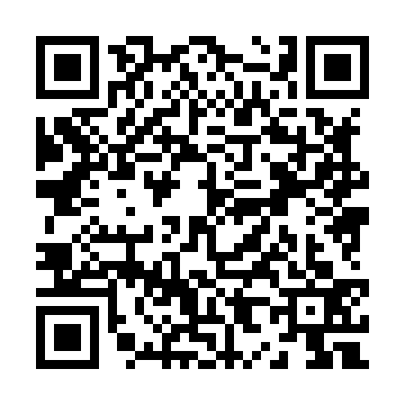 QR code for Z888339