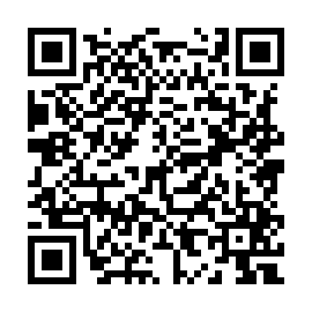 QR code for Z889451