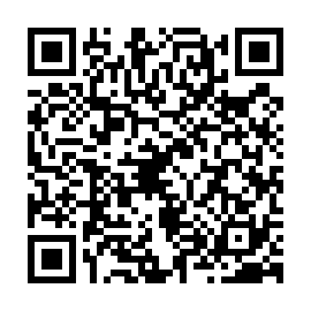 QR code for Z895305