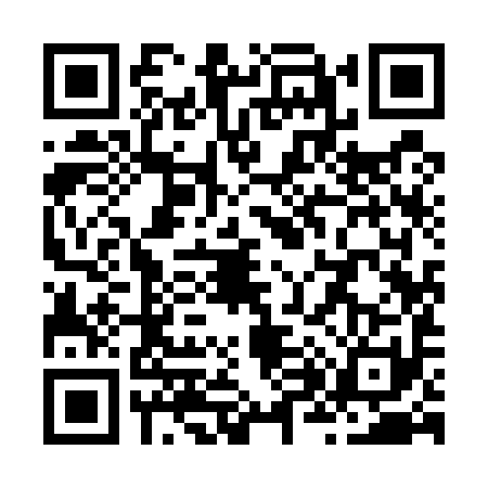 QR code for Z895919