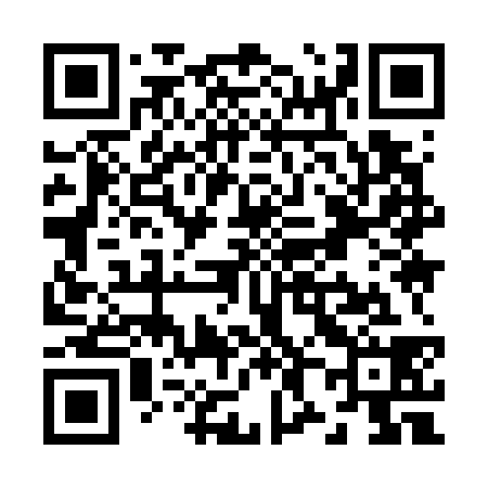 QR code for Z89738