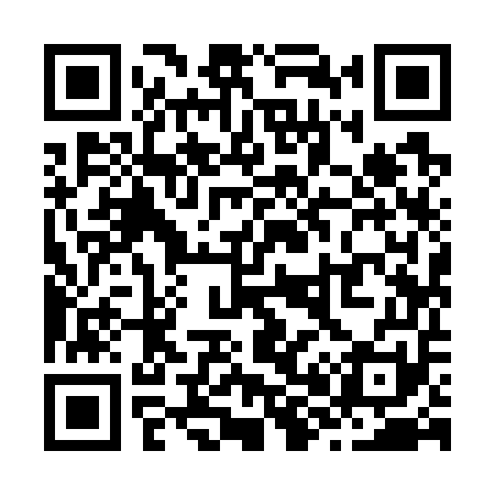 QR code for Z89751