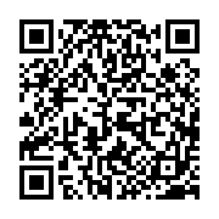 QR code for Z90113