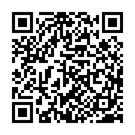 QR code for Z90173
