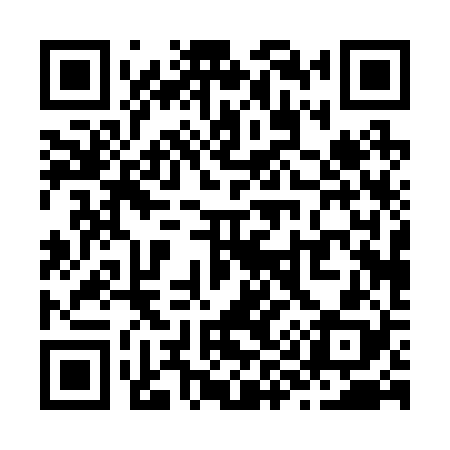 QR code for Z90228