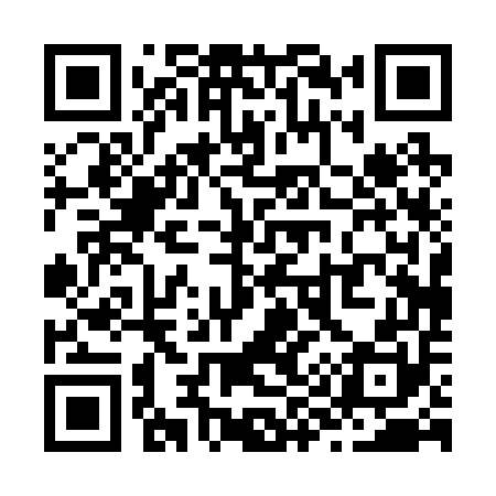 QR code for Z90250