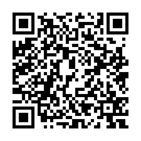 QR code for Z903370