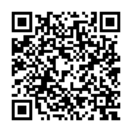 QR code for Z905265