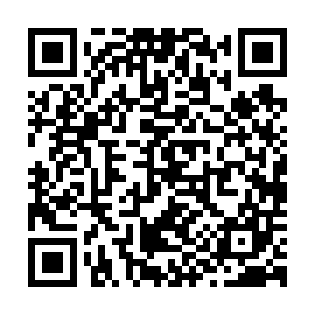 QR code for Z90607