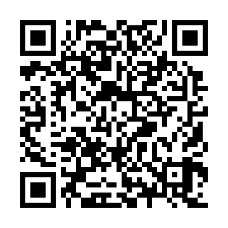 QR code for Z91309