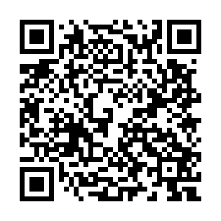 QR code for Z91503